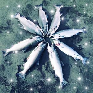 Meet your Posher, Beka